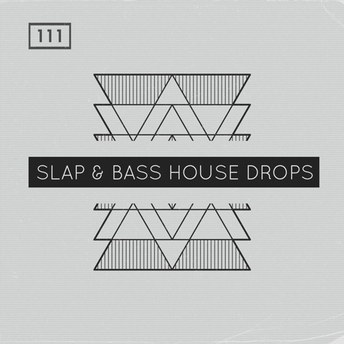 Slap & Bass House Drops