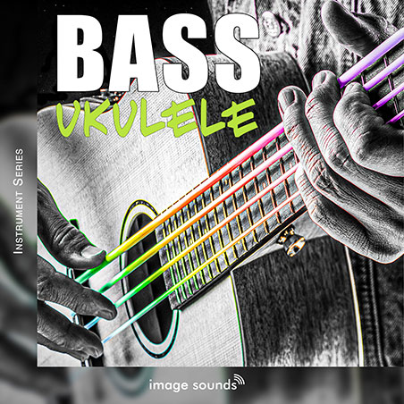 Bass Ukulele 1