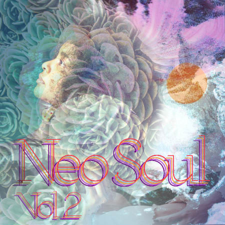 Drumdrops Neo Soul Vol. 2 WAV - Freshstuff4you