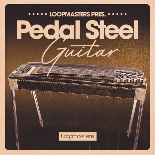 Pedal Steel Guitar MULTIFORMAT