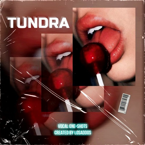 TUNDRA Vocal One-Shots