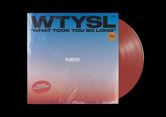 NES What Took You So Long WAV