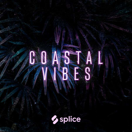 Splice Originals Coastal Vibes Reggaeton with El Dusty WAV