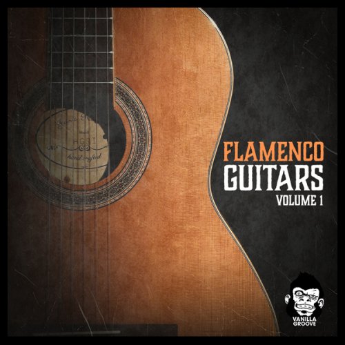  Flamenco Guitars Vol.1