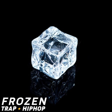 Frozen - Trap & Hip Hop WAV