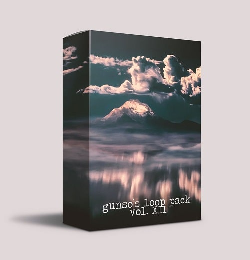 Gunso's Loop Pack Vol. XII WAV