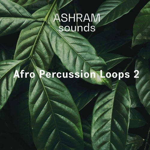 Riemann Kollektion ASHRAM Afro Percussion Loops 2 WAV