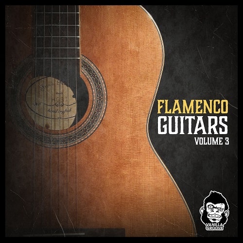 Vanilla Groove Studios - Flamenco Guitars Vol.3 WAV