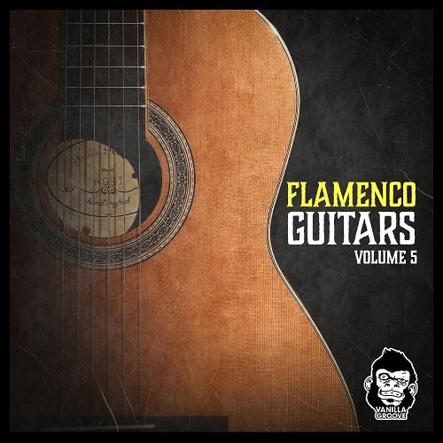 Vanilla Groove Studios Flamenco Guitars Vol 5 WAV