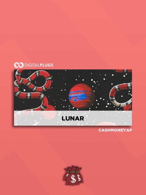 CashMoneyAp Lunar (Loop Kit) WAV