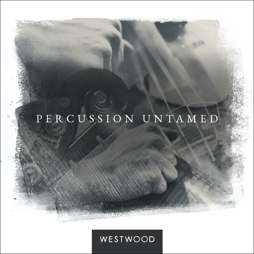 Percussion Untamed