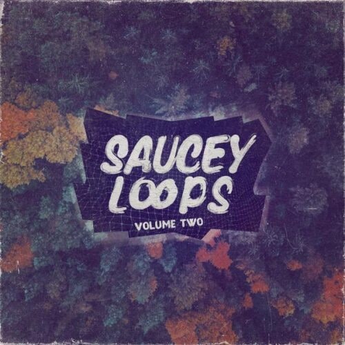 Saucey Loops Volume 2 WAV