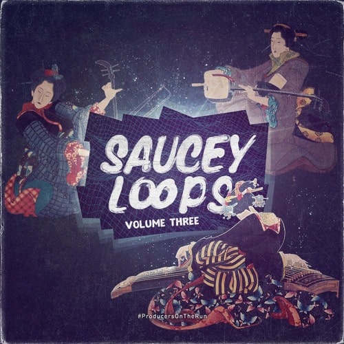 Saucey Loops Volume 3 WAV