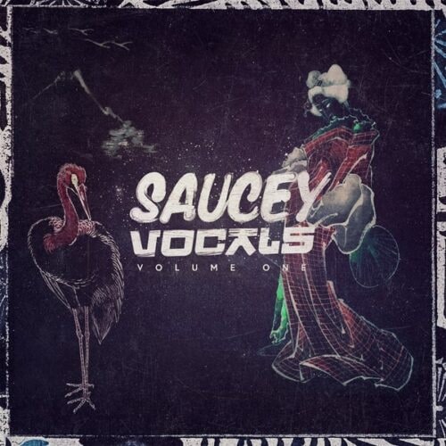 Saucey Vocals Volume 1 WAV