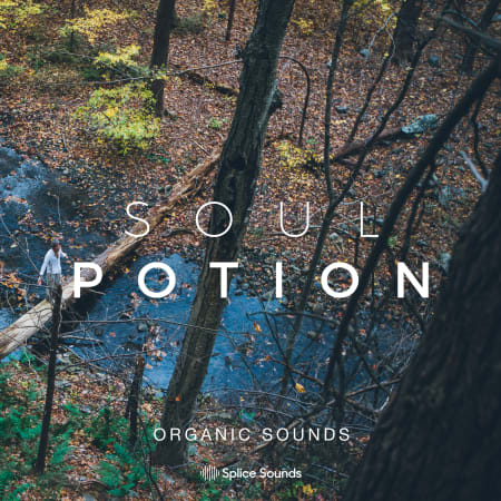 Soul Potion Organic Sounds