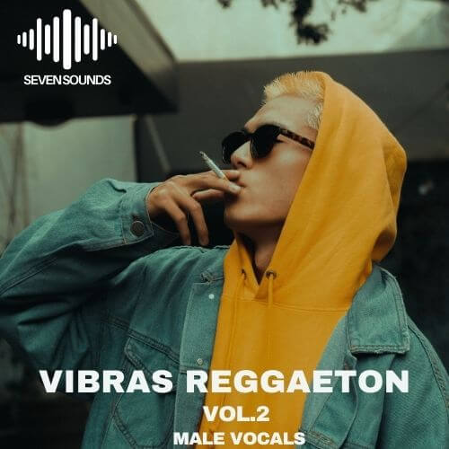 Seven Sounds Vibras Reggaetone Volume 2 WAV MIDI