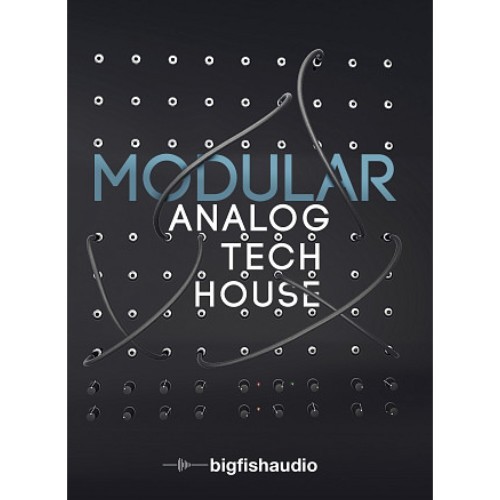 Big Fish Audio Modular Analog Tech House WAV