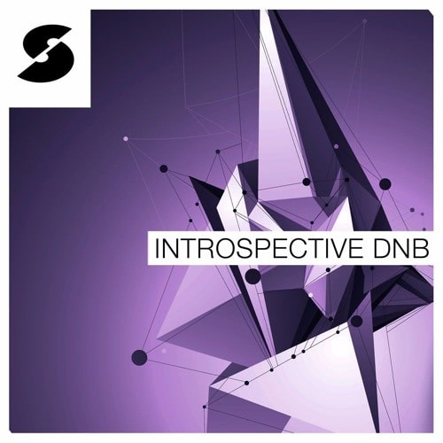 Samplephonics - Introspective DnB MULTIFORMAT