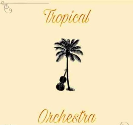 Out Of Your Shell Sounds Tropical Orchestra 