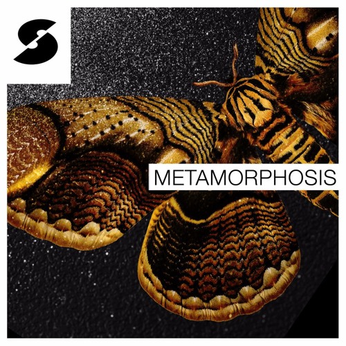 Samplephonics - Metamorphosis