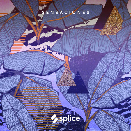 Splice Originals - Sensaciones Latin RnB