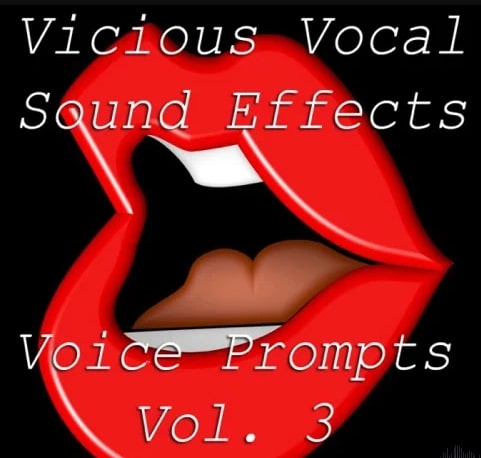 Vicious Vocal Sound Effects 15 (Voice Prompts Vol.3)