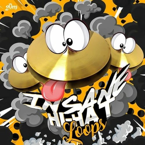 2DEEP Insane Hi-Hat Loops WAV