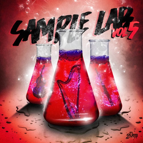 2DEEP Sample Lab Vol.5 WAV