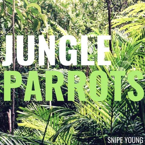 Snipe Young Jungle Parrots WAV