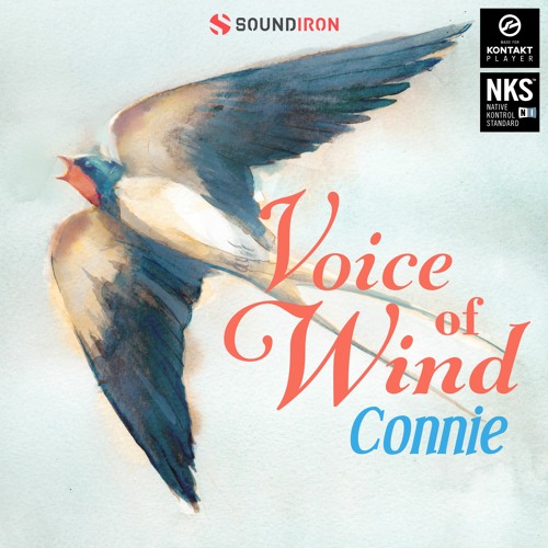 Voice of Wind: Connie v1.0 KONTAKT