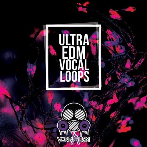 Ultra EDM Vocal Loops WAV