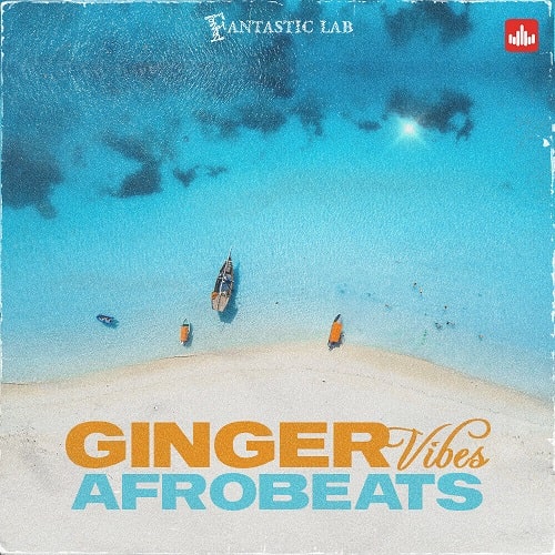Fantastic Lab Ginger Vibes - Afrobeats WAV MMIDI
