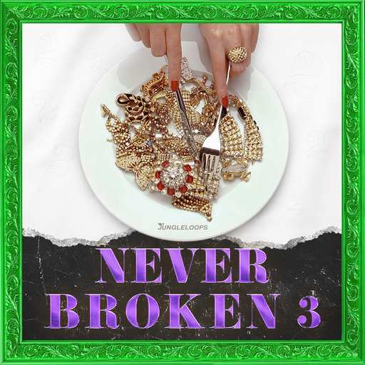 Jungle Loops Never Broken 3 WAV MIDI