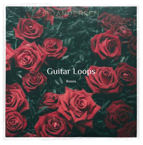 BK Andersen - Guitar Loops - Roses