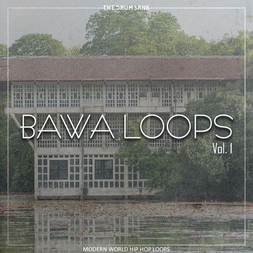 Dynasty Loops Bawa Vol.1 WAV