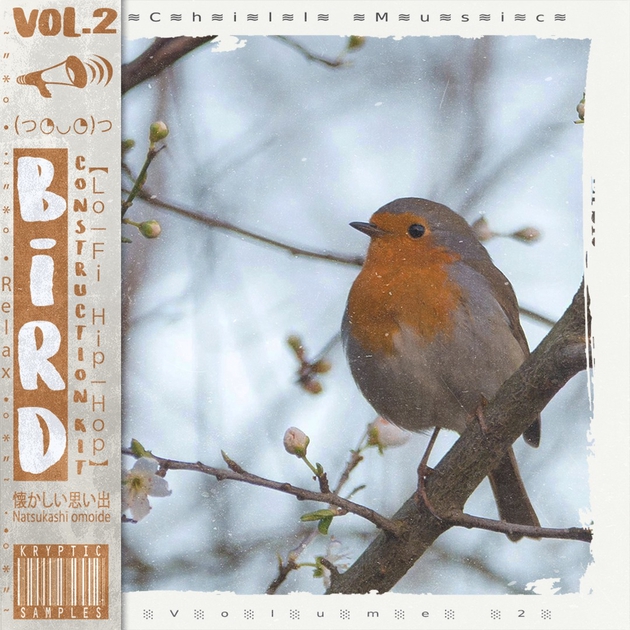 Kryptic Samples Bird Vol. 2 WAV MIDI