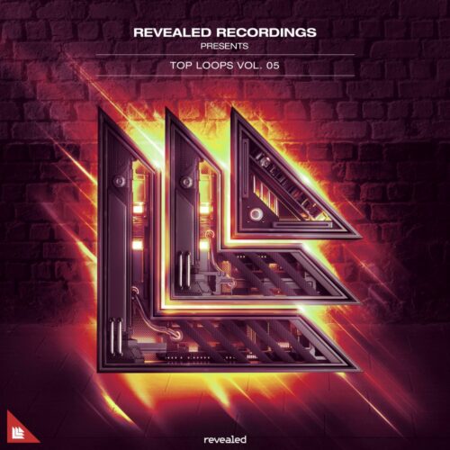 Revealed Recordings Revealed Top Loops Vol. 5 WAV