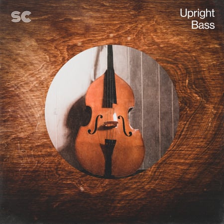 Sonic Collective Upright Bass WAV