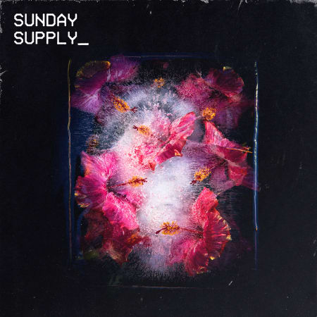 Sunday Supply Frozen Bloom WAV