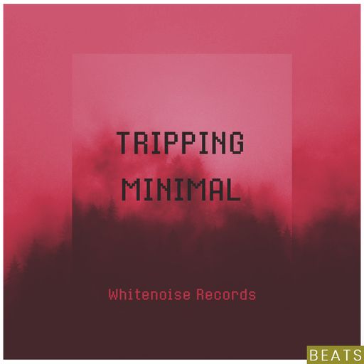 Whitenoise Records TRIPPING MINIMAL Beats WAV