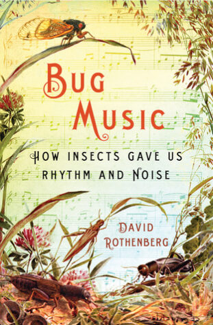 Bug Music: How Insects Gave Us Rhythm & Noise by David Rothenberg