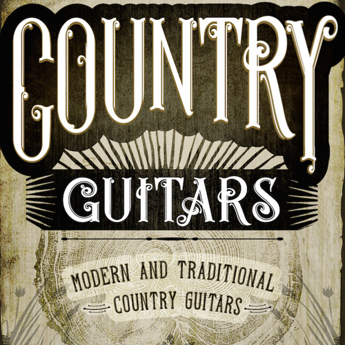 Dieguis Productions & Big Fish Audio Country Guitars KONTAKT MULTIFORMAT