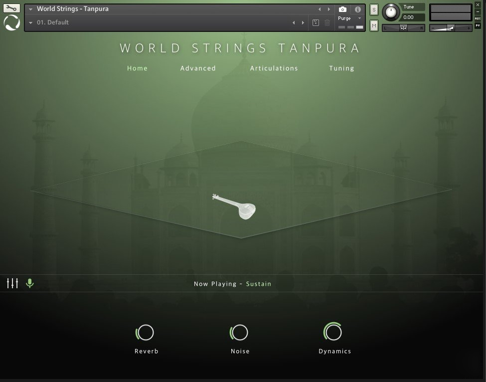 Evolution Series World Strings Tanpura v1.0.0 KONTAKT