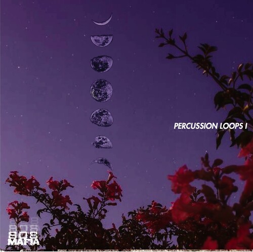 Onlyxne 808 Mafia Percussion Loops 001 WAV