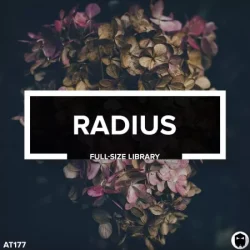 AT177 RADIUS // Indie Dance Full-Size Sample Library WAV