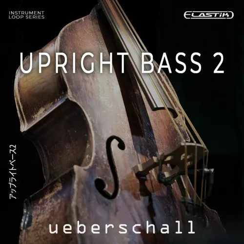 Ueberschall Upright Bass 2 ELASTIK