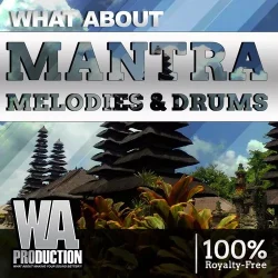 MANTRA - Drums & Melodies WAV PRESETS