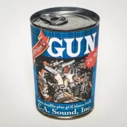 Casoundinc Guns Library WAV