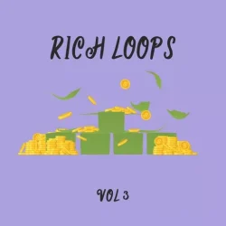 DiyMusicBiz Rich Loop Vol 3 WAV