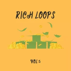 DiyMusicBiz Rich Loop Vol 5 WAV